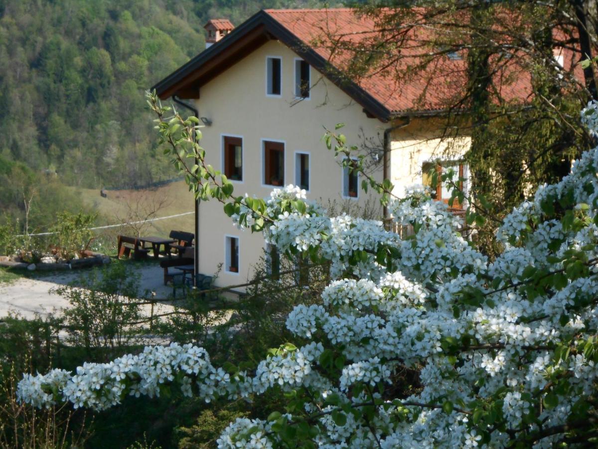 Agriturismo La Casa Nei Boschi Colderu Kültér fotó