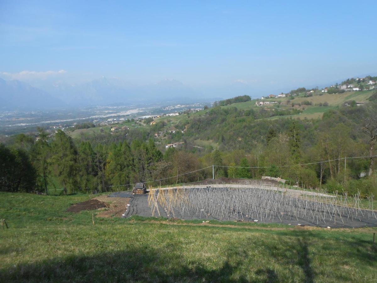 Agriturismo La Casa Nei Boschi Colderu Kültér fotó