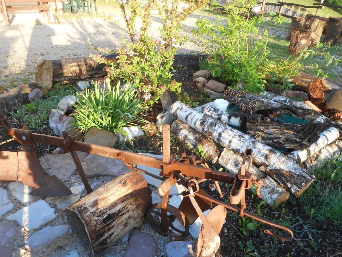 Agriturismo La Casa Nei Boschi Colderu Kültér fotó