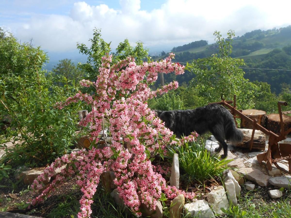 Agriturismo La Casa Nei Boschi Colderu Kültér fotó