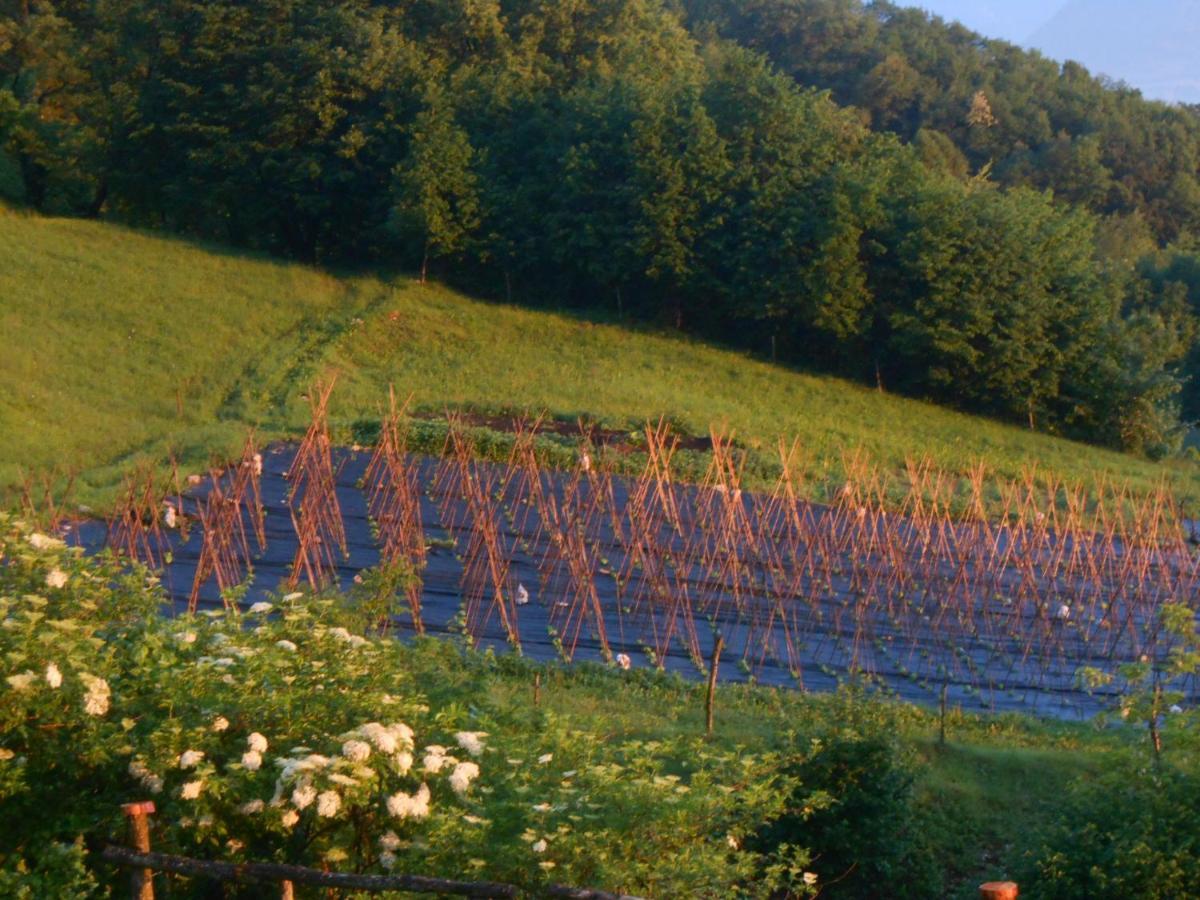 Agriturismo La Casa Nei Boschi Colderu Kültér fotó