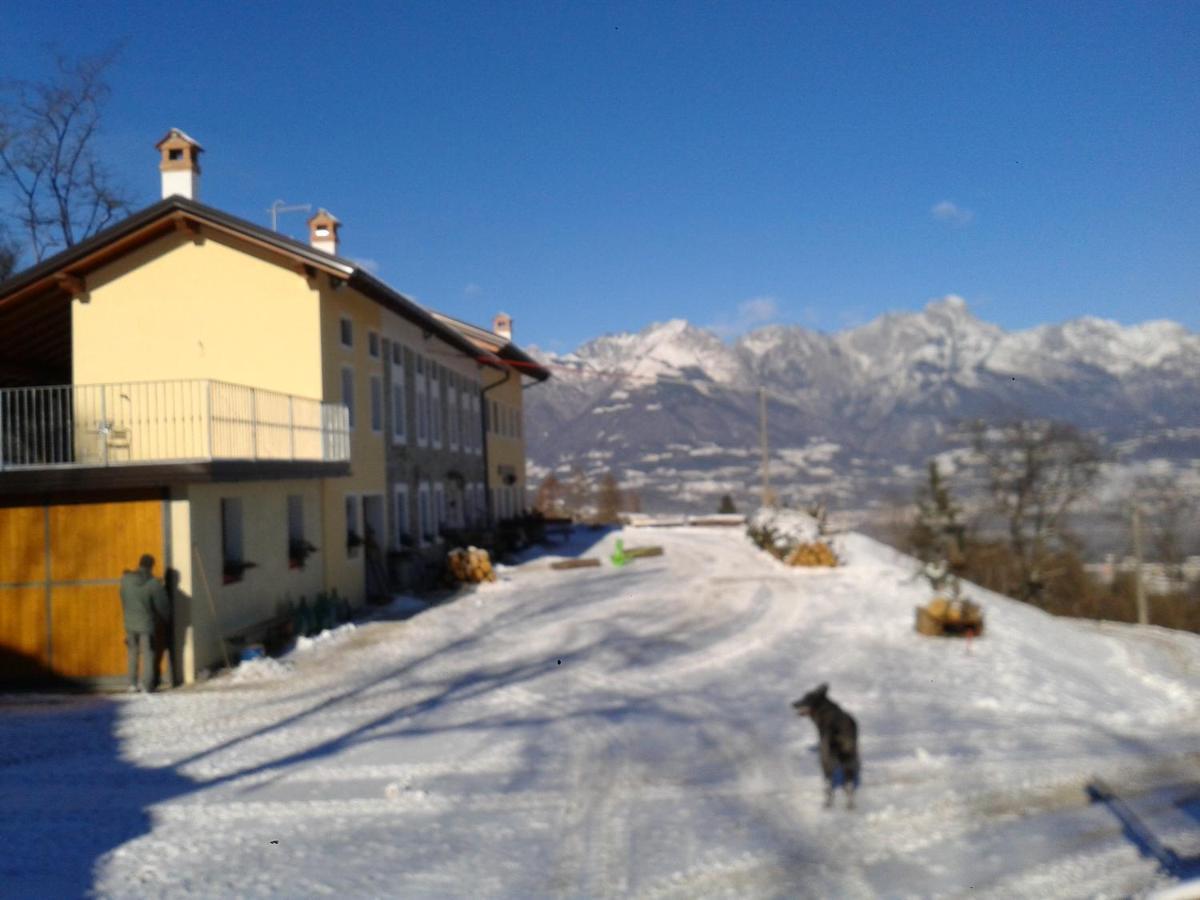 Agriturismo La Casa Nei Boschi Colderu Kültér fotó